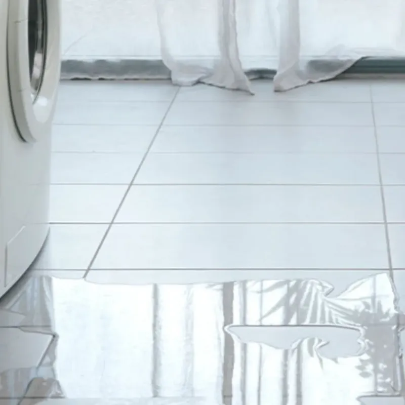 Appliance Leak Cleanup in Adrian, MI