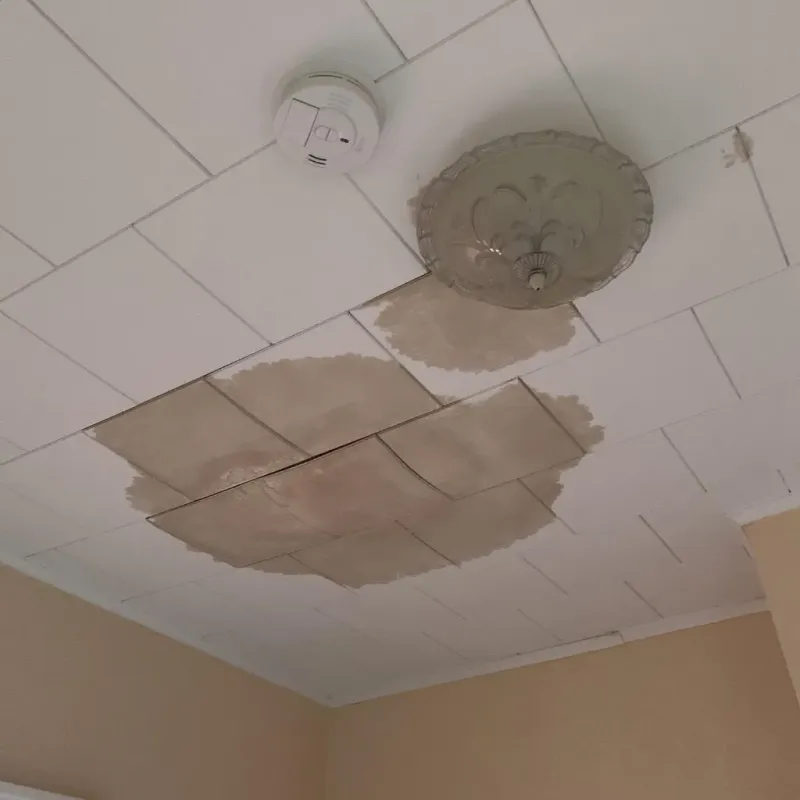 Ceiling Water Damage Repair in Adrian, MI